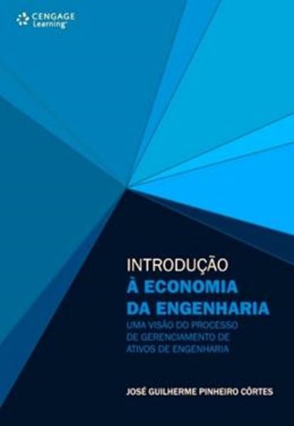 Picture of INTRODUCAO A ECONOMIA DA ENGENHARIA - UMA VISAO DO PROCESSO DE GERENCIAMENTO DE ATIVOS DE ENGENHARIA