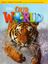 Imagem de OUR WORLD 3 LESSON PLANNER WITH AUDIO CD AND TEACHERS RESOURCES CD-ROM