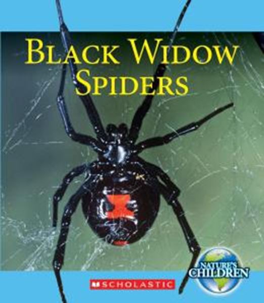 Picture of BLACK WIDOW SPIDERS