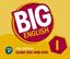 Imagem de BIG ENGLISH 1 CLASS CD WITH DVD - AMERICAN - 2ND ED