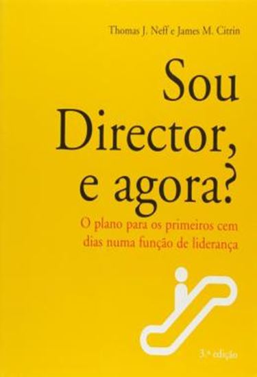 Picture of SOU DIRECTOR, E AGORA? - O PLANO PARA OS PRIMEIROS CEM DIAS NUMA FUNCAO DE LIDERANCA