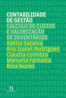 Imagem de CONTABILIDADE DE GESTAO - CALCULO DE CUSTOS E VALORIZACAO DE INVENTARIOS