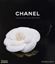Imagem de CHANEL - COLLECTIONS AND CREATIONS
