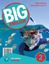 Imagem de BIG ENGLISH 2 POSTERS - AMERICAN - 2ND ED