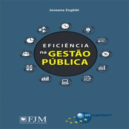 Imagem de EFICIENCIA NA GESTAO PUBLICA