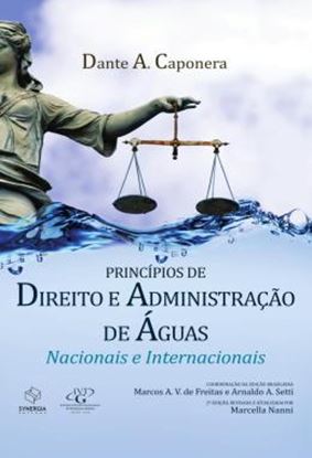 Imagem de PRINCIPIOS DE DIREITO E ADMINISTRATIVOS DA GESTAO DAS AGUAS