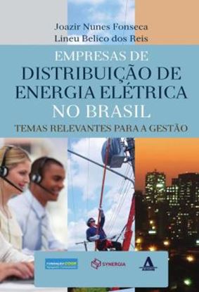 Imagem de EMPRESAS DE DISTRIBUICAO DE ENERGIA ELETRICA NO BRASIL - TEMAS RELEVANTES PARA GESTAO