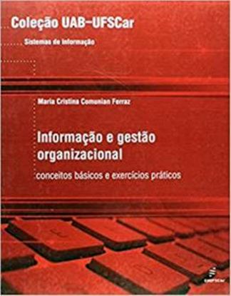 Imagem de INFORMACAO E GESTAO ORGANIZACIONAL - CONCEITOS