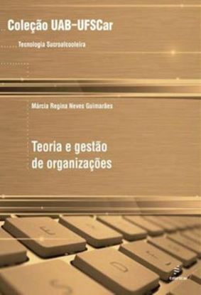 Imagem de TEORIA E GESTAO DE ORGANIZACOES