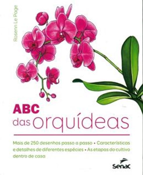 Picture of ABC DAS ORQUIDEAS, O