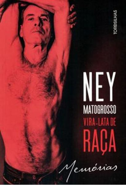 Picture of VIRA-LATA DE RACA