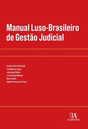 Imagem de MANUAL LUSO-BRASILEIRO DE GESTAO JUDICIAL