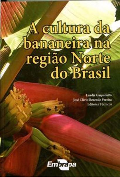 Picture of A CULTURA DA BANANEIRA NA REGIAO NORTE DO BRASIL