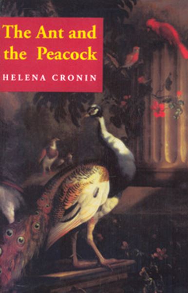 Picture of ANT AND THE PEACOCK, THE