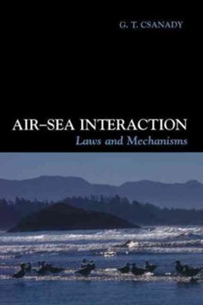 Picture of AIR-SEA INTERACTION - LAWS AND MECHANISMS