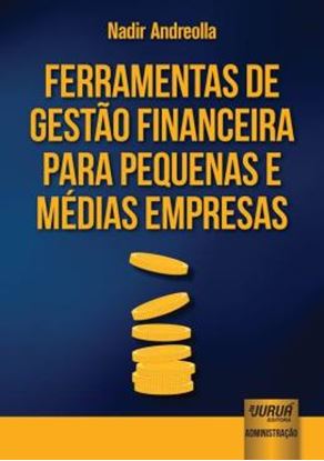 Imagem de FERRAMENTAS DE GESTAO FINANCEIRA PARA PEQUENAS E MEDIAS EMPRESAS