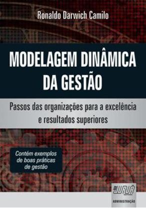 Imagem de MODELAGEM DINAMICA DA GESTAO - PASSOS DAS ORGANIZACOES PARA A EXCELENCIA E RESULTADOS SUPERIORES
