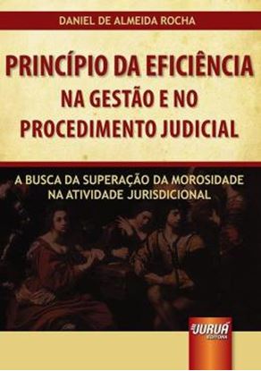 Imagem de PRINCIPIO DA EFICIENCIA NA GESTAO E NO PROCEDIMENTO JUDICIAL