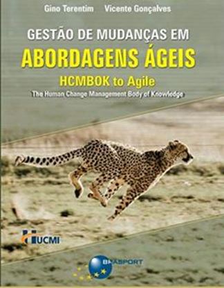 Imagem de GESTAO DE MUDANCAS EM ABORDAGENS AGEIS