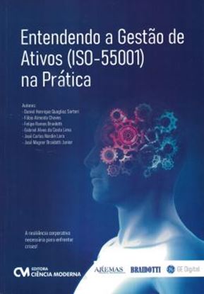 Imagem de ENTENDENDO A GESTAO DE ATIVOS (ISO-55001) NA PRATICA