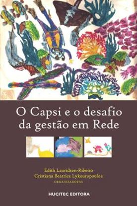 Imagem de O CAPSI E O DESAFIO DA GESTAO EM REDE
