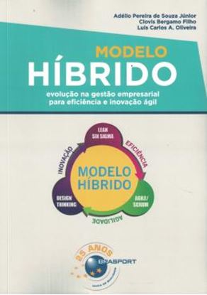 Imagem de MODELO HIBRIDO - EVOLUCAO NA GESTAO EMPRESARIAL PARA EFICIENCIA E INOVACAO AGIL