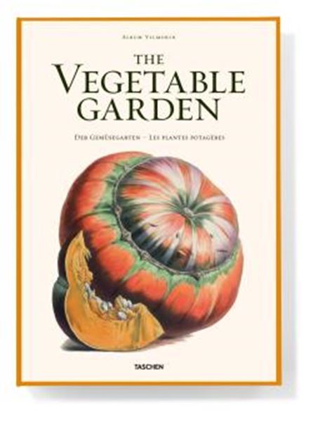 Picture of THE VEGETABLE GARDEN