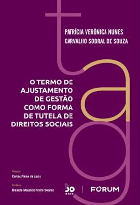 Imagem de O TERMO DE AJUSTAMENTO DE GESTAO COMO FORMA DE TUTELA DE DIREITOS SOCIAIS