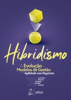 Imagem de HIBRIDISMO - A EVOLUCAO DOS MODELOS DE GESTAO PARA AGILIDADE NOS NEGOCIOS