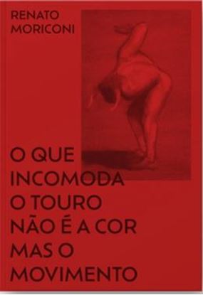 Imagem de O QUE INCOMODA O TOURO NÃO É A COR MAS O MOVIMENTO
