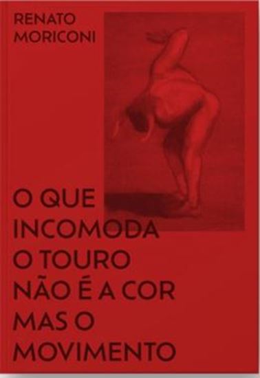 Picture of O QUE INCOMODA O TOURO NÃO É A COR MAS O MOVIMENTO