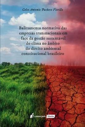 Imagem de BALIZAMENTO NORMATIVO DAS EMPRESAS TRANSNACIONAIS EM FACE DA GESTAO SUSTENTAVEL DO CLIMA NO AMBITO DO DIREITO AMBIENTAL CONSTITUCIONAL BRASILEIRO