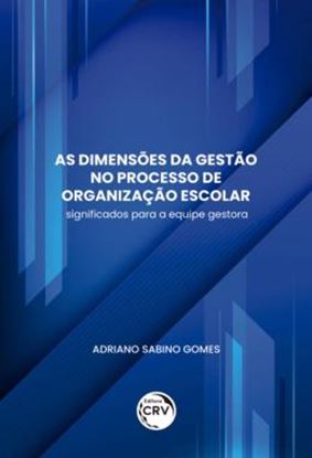 Imagem de AS DIMENSOES DA GESTAO NO PROCESSO DE ORGANIZACAO ESCOLAR - SIGNIFICADOS PARA A EQUIPE GESTORA