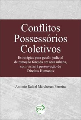 Imagem de CONFLITOS POSSESSORIOS COLETIVOS - ESTRATEGIAS PARA GESTAO JUDICIAL DE REMOCAO FORCADA EM AREA URBANA, COM VISTAS A PRESERVACAO DE DIREITOS HUMANOS