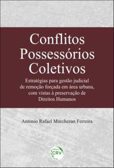 Picture of CONFLITOS POSSESSORIOS COLETIVOS - ESTRATEGIAS PARA GESTAO JUDICIAL DE REMOCAO FORCADA EM AREA URBANA, COM VISTAS A PRESERVACAO DE DIREITOS HUMANOS