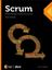 Imagem de SCRUM: GESTAO AGIL PARA PROJETOS DE SUCESSO