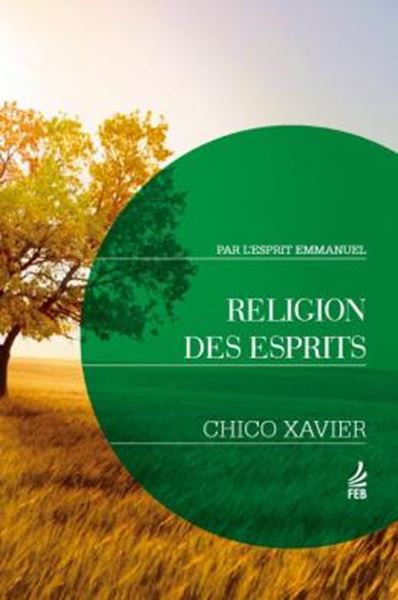 Picture of RELIGION DES ESPRITS (RELIGIAO DOS ESPIRITOS - FRANCES)