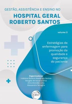 Imagem de GESTAO, ASSISTENCIA E ENSINO NO HOSPITAL GERAL ROBERTO SANTOS ESTRATEGIAS DE ENFERMAGEM PARA PROMOCAO DA QUALIDADE E SEGURANCA DO PACIENTE VOLUME 3