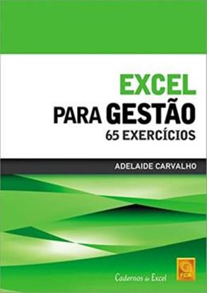 Imagem de EXCEL PARA GESTAO - 65 EXERCICIOS