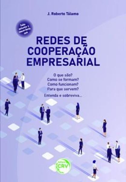 Picture of REDES DE COOPERACAO EMPRESARIAL