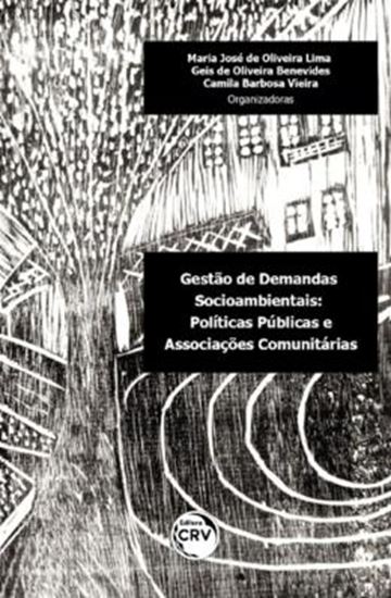 Picture of GESTAO DE DEMANDAS SOCIOAMBIENTAIS - POLITICAS PUBLICAS E ASSOCIACOES COMUNITARIAS