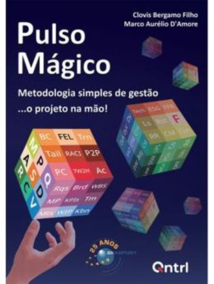 Imagem de PULSON MAGINO - METODOLOGIA SIMPLES DE GESTAO... O PROJETO NA MAO!