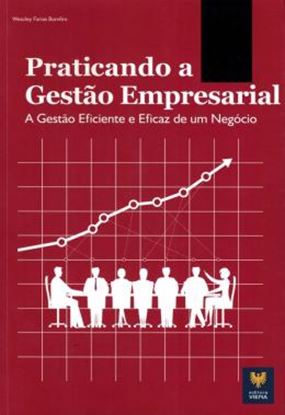 Imagem de PRATICANDO A GESTAO EMPRESARIAL - A GESTAO EFICIENTE E EFICAZ DE UM NEGOCIO