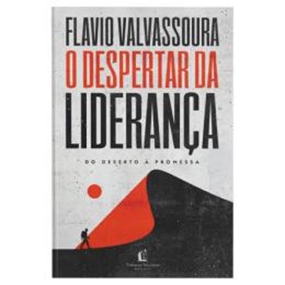 Imagem de O DESPERTAR DA LIDERANCA