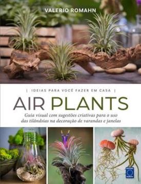 Imagem de AIR PLANTS - IDEIAS PARA VOCE FAZER EM CASA