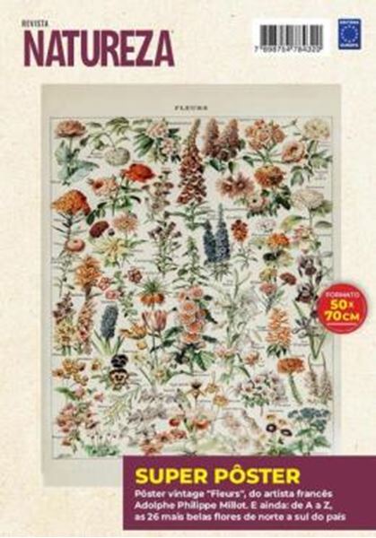Picture of ADOLPHE PHILIPPE MILLOT - FLEURS - SUPERPOSTER NATUREZA