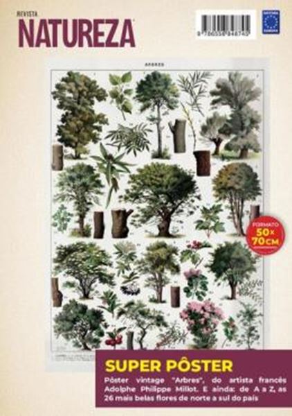 Picture of ADOLPHE PHILIPPE MILLOT: ARBRES 1 - SUPERPOSTER NATUREZA