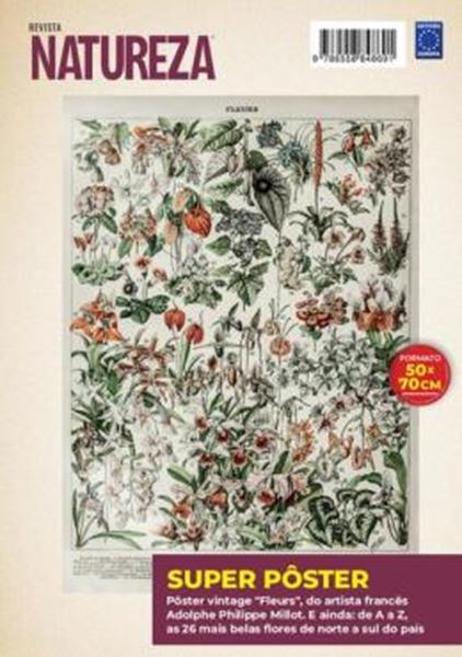 Picture of ADOLPHE PHILIPPE MILLOT: FLEURS 3 - SUPERPOSTER NATUREZA