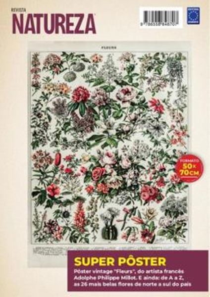 Picture of ADOLPHE PHILIPPE MILLOT: FLEURS 4 - SUPERPOSTER NATUREZA