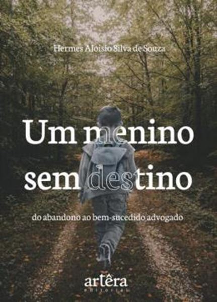 Picture of UM MENINO SEM DESTINO - DO ABANDONO AO BEM-SUCEDIDO ADVOGADO